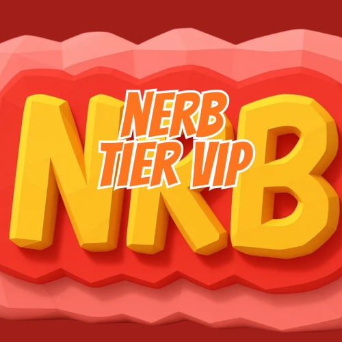 NERB Tier VIP Package